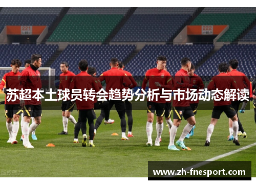 苏超本土球员转会趋势分析与市场动态解读