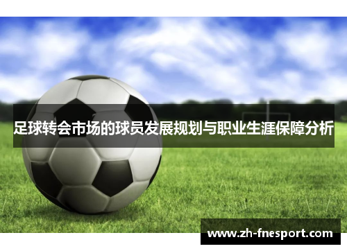 足球转会市场的球员发展规划与职业生涯保障分析